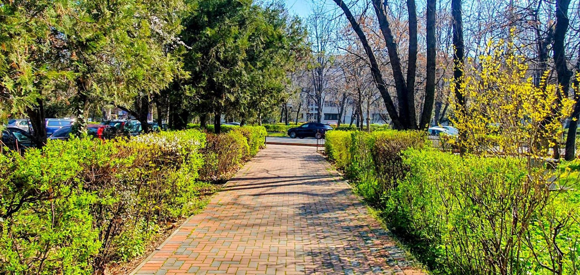 Break Park